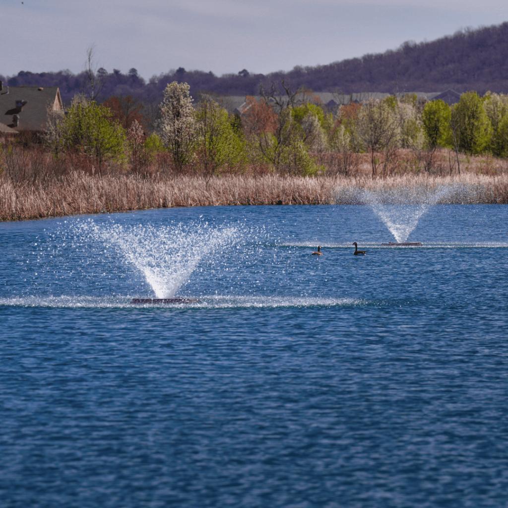 Two fountains in a lake with trees and houses in the background
