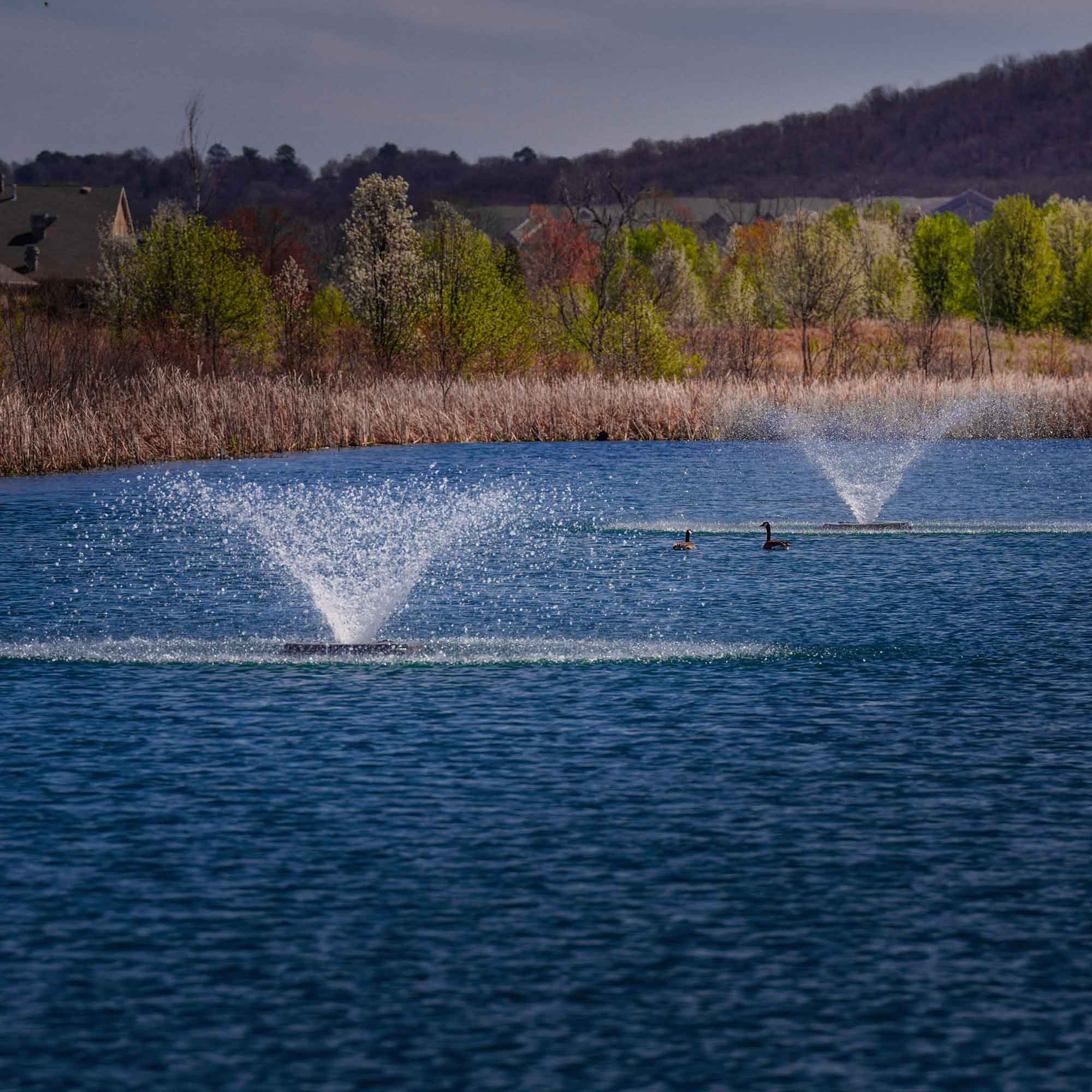 Outdoor Water Solutions