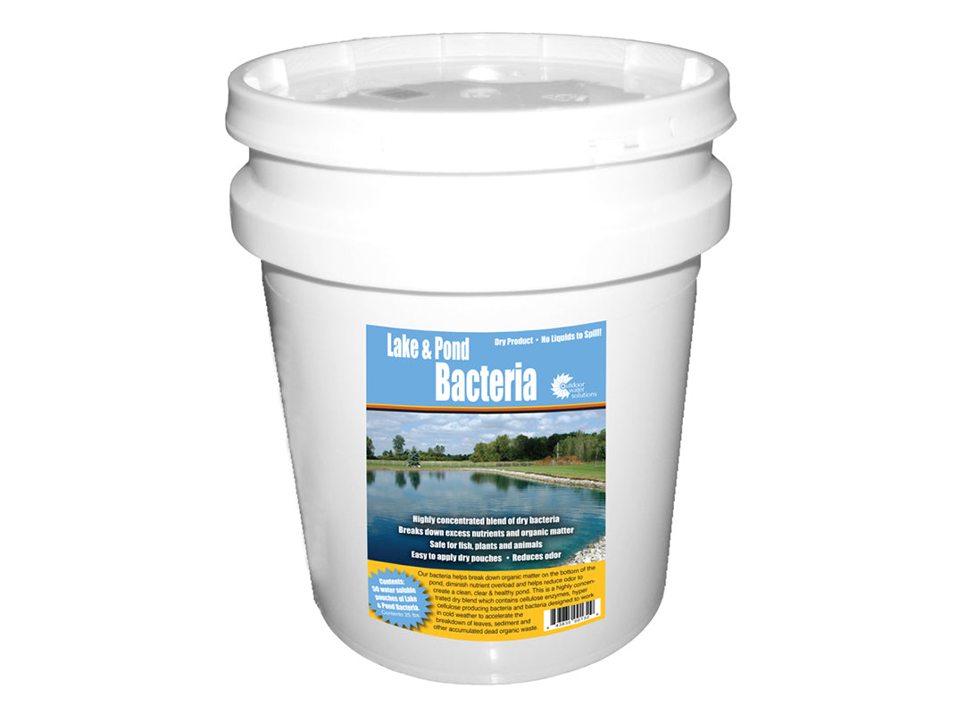 Beneficial Bacteria for Pond Muck Remover dry packs that break down pond muck and fish waste to improve water clarity and reduce odors.