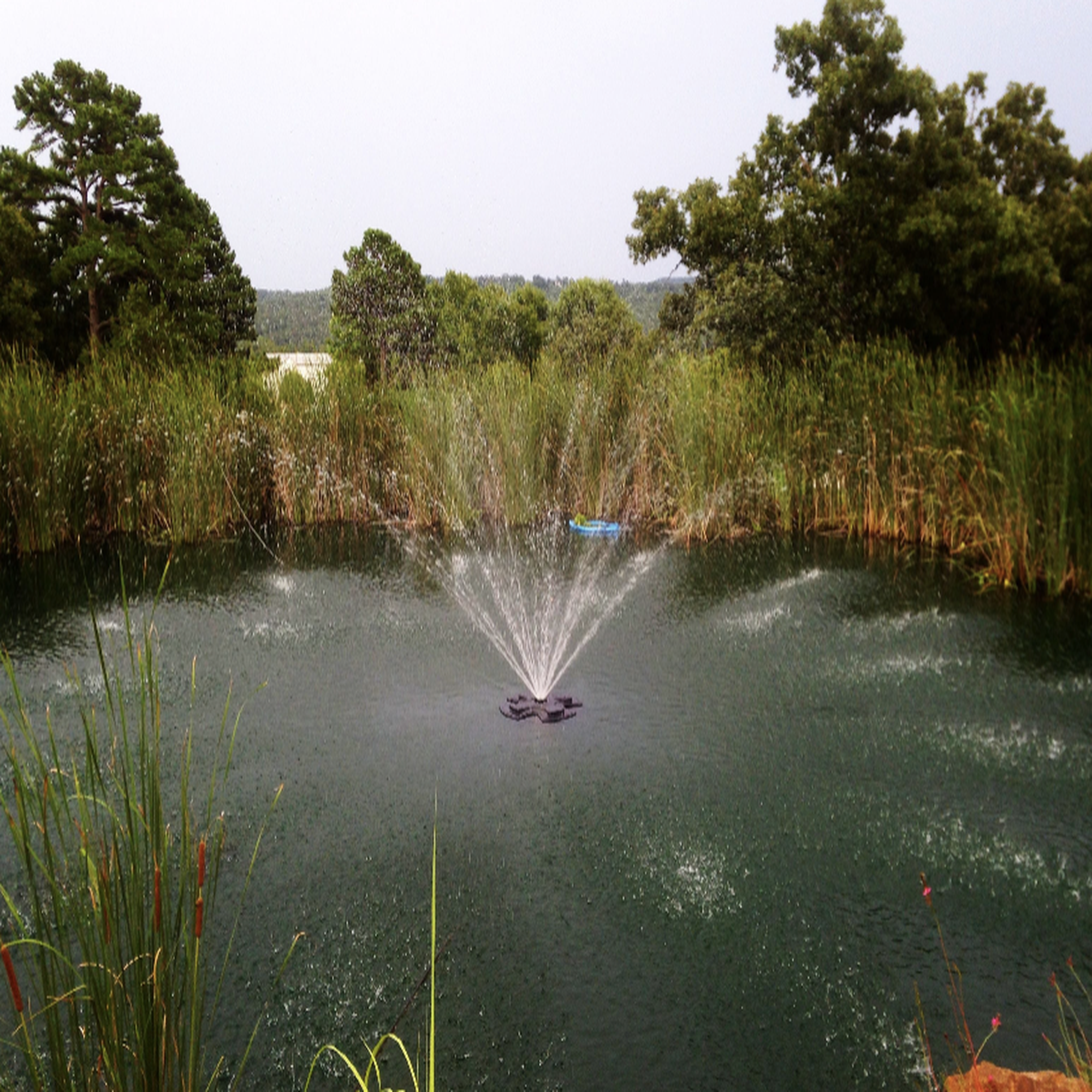 Floating Pond Fountain 1/2 HP Eco Line with interchangeable spray patterns, energy-efficient motor, and optional RGB lighting.