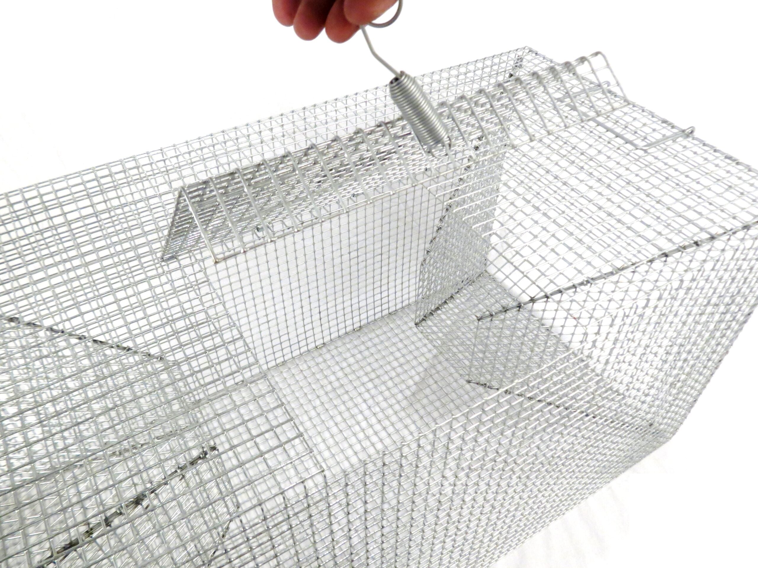 Pond Fish Trap For Perch and Baitfish