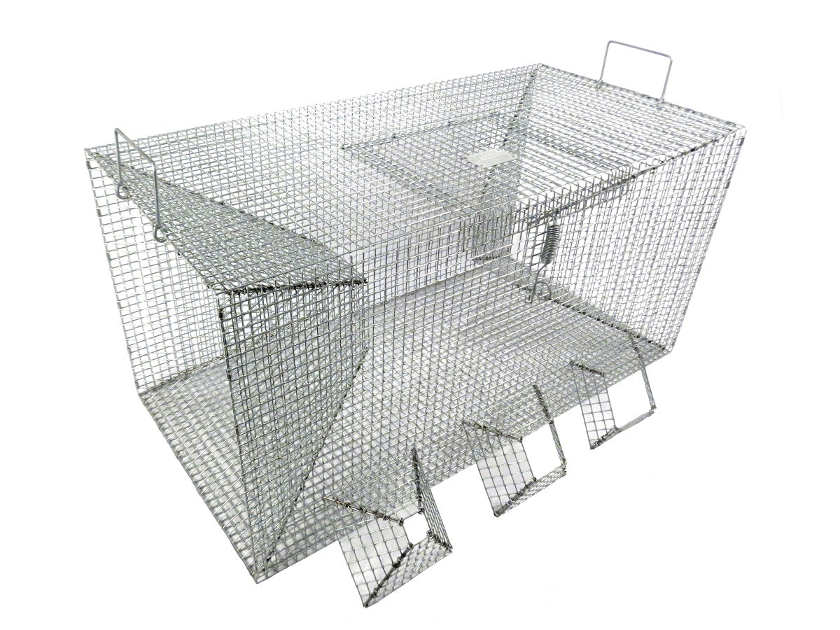 Pond Fish Trap For Perch and Baitfish
