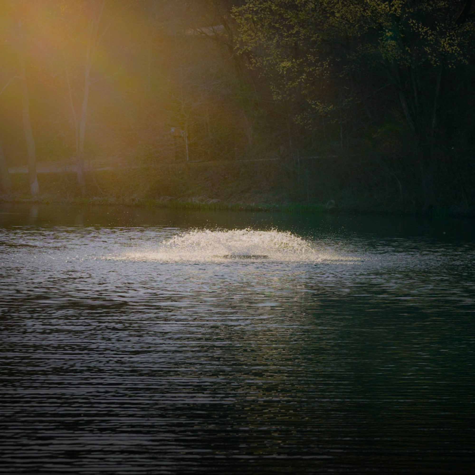 Surface Pond Aerator for residential ponds and lakes – Aquarian Pro floating aerator, 1/2–1.5 HP, for oxygenation, algae control, and fish health.