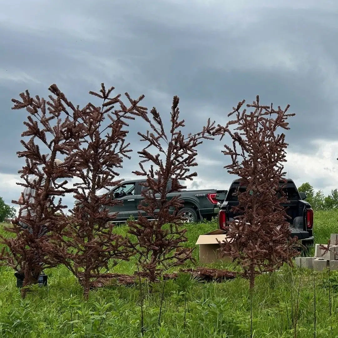 Ugly Tree Pond Fish Structure artificial fish habitat for ponds and lakes.