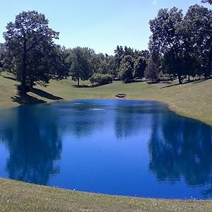 Blue Pond Dye for Lakes / Ponds | Fish Safe | Dry Packs