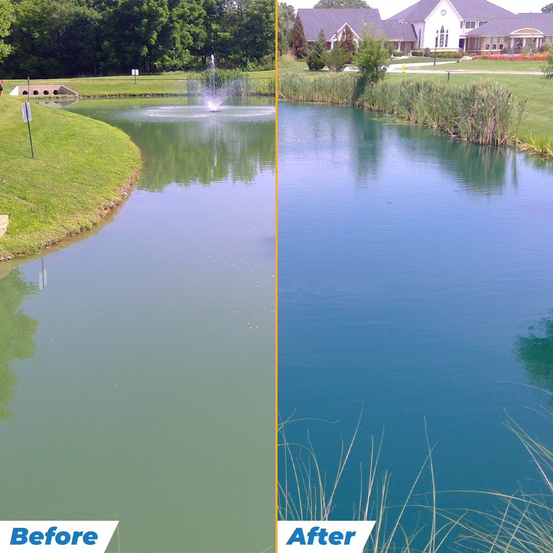 Blue Pond Dye for Lakes & Ponds | Fish Safe | Dry Packs