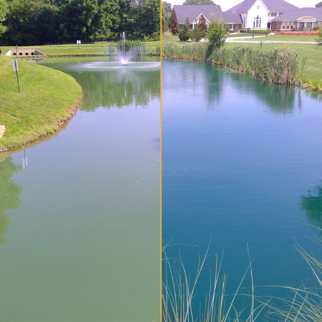 Side-by-side comparison of a pond with green water and a clear blue pond.