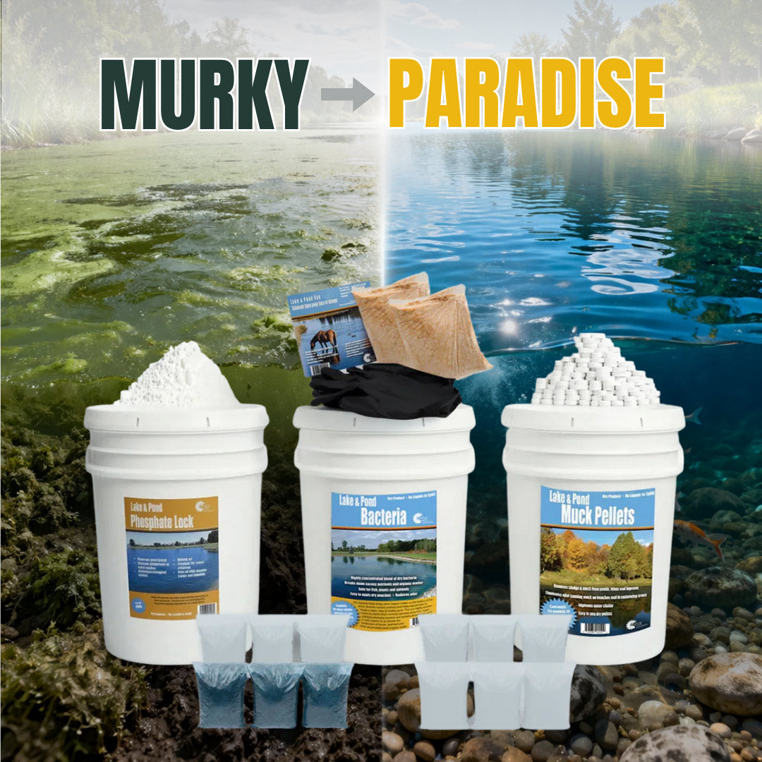 pond-paradise.jpg