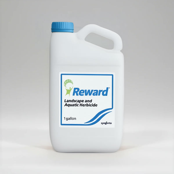Reward