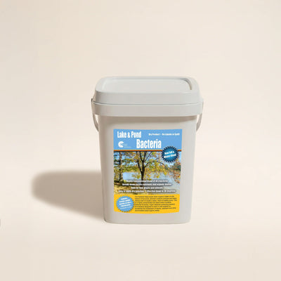 Beneficial Bacteria for Ponds Muck Remover | Winter Blend Packs
