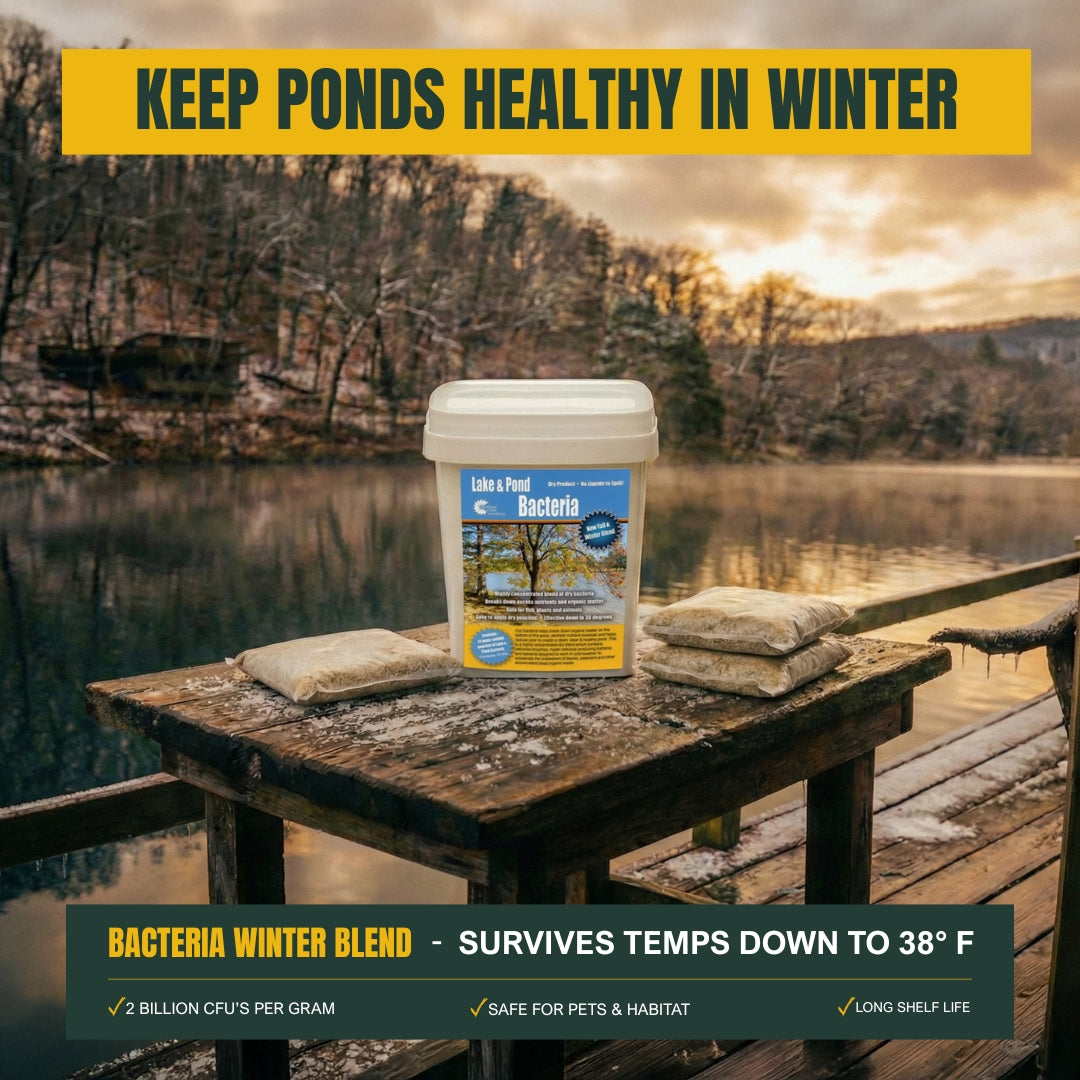 Beneficial Bacteria for Ponds Muck Remover | Winter Blend Packs