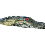 A floating gator head on a white background.