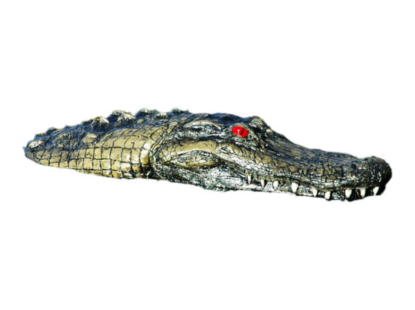 A floating gator head on a white background.