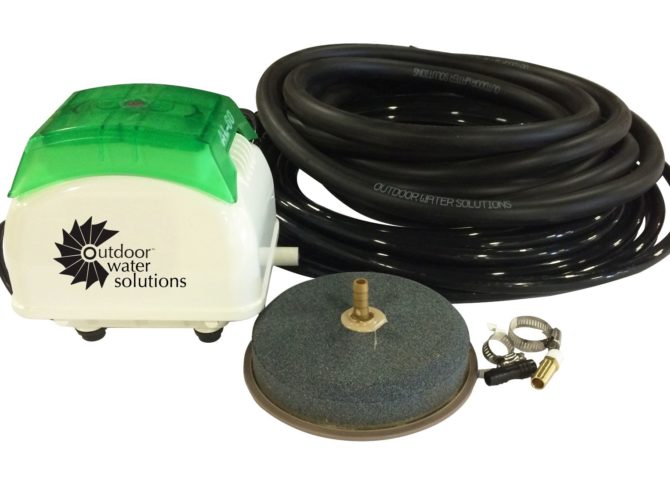 Small aeration system with an airstone diffuser.