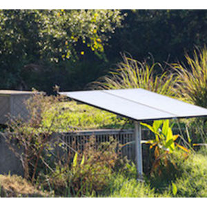 A solar panel surrounded by plants. There is an aeration cabinet in the background.