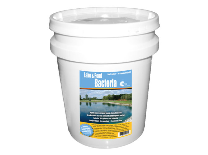 A bucket of Lake and Pond Bacteria on a white background.
