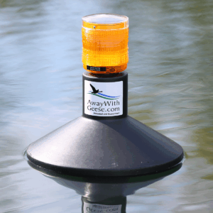 Away with Geese - Water Unit