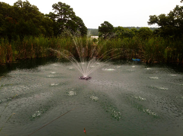 Floating pond fountain in water. The fountain sprays several streams of water into the air. The water is very blue in the foreground and less blue in the background. In the background there is tall grass.