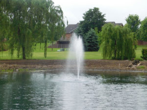 Floating pond fountain in water. The fountain sprays several streams of water into the air. The water is very blue in the foreground and less blue in the background. In the background there are trees and buildings.