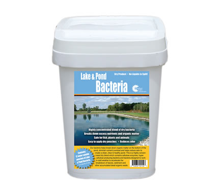 Bacteria Packs & Clarifiers - Outdoor Water Solutions