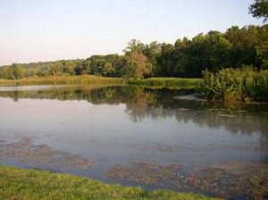 Pond Algae Prevention | Pond Aerators