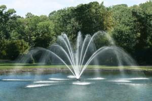 Pond and Lake Management Services in Northwest Arkansas