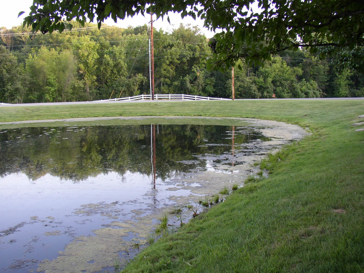 Pond Algae Treatments | Outdoor Water Solutions