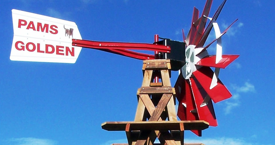 White and red windmill head with a white tail fin with 