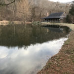 Pond with a building in the background. There are trees without leaves surrounding the building.