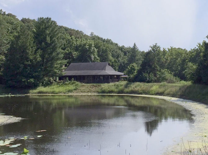 Pond with a building in the background. There are green trees surrounding the building.