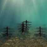 Underwater picture of the Basic Shallow Water Bundle Fish Attractor-Mossback.