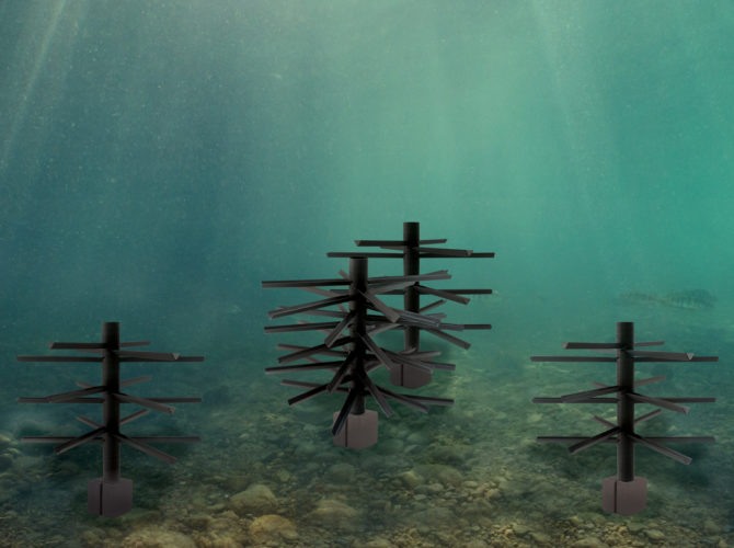 Underwater picture of the Basic Shallow Water Bundle Fish Attractor-Mossback.