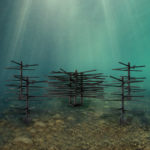 Underwater image of the Essential Deep Water Bundle Fish Attractor-Mossback.
