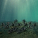 Underwater view of the placement of the Fish City Fish Attractor - Mossback.