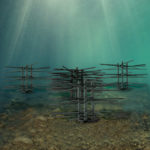 Underwater view of the Ultimate Deep Water Bundle Fish Attractor-Mossback.