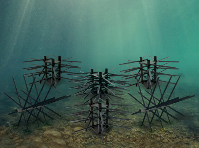 Underwater image of the placement of the Ultimate Shallow Water Bundle Fish Attractor-Mossback.