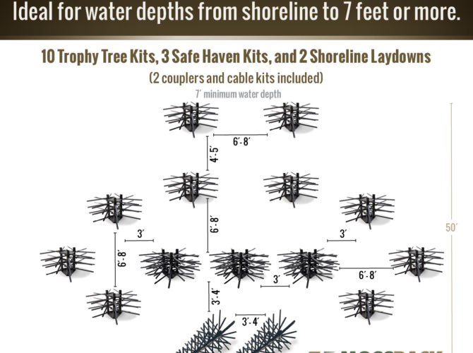 Info graphic for the Fish City Fish Attractor - Mossback.