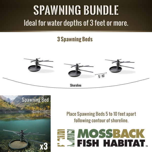 Info graphic for the Spawning Bundle Fish Attractors - Mossback.