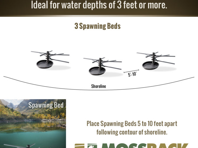Info graphic for the Spawning Bundle Fish Attractors - Mossback.