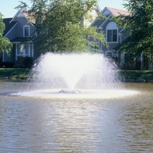 Image shows a 1 hp Aerify SW Solar Fountain blowing water into the air in a wide spray.