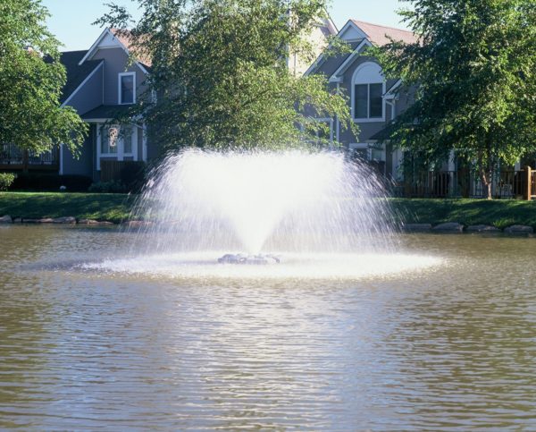 Image shows a 1 hp Aerify SW Solar Fountain blowing water into the air in a wide spray.